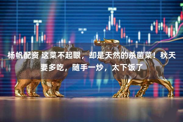 杨帆配资 这菜不起眼，却是天然的杀菌菜！秋天要多吃，随手一炒，太下饭了