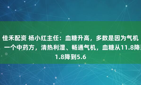 佳禾配资 杨小红主任：血糖升高，多数是因为气机不畅！一个中药方，清热利湿、畅通气机，血糖从11.8降到5.6