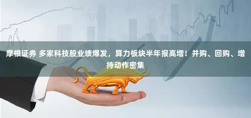 摩根证券 多家科技股业绩爆发，算力板块半年报高增！并购、回购、增持动作密集